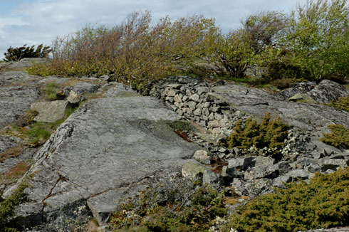 hummerbakkfjorden-revet-gan